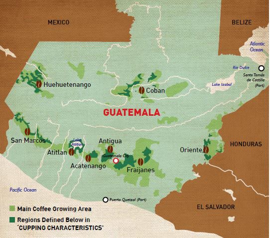 Кофейные регионы Гватемалы
